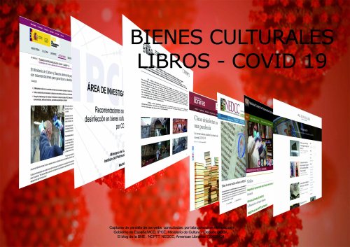 Capturas de pantalla de las webs consultadas por labrujulazul.wordpress.com.: Gobierno de España: MCD, IPCE, Ministerio de Cultura y Deporte-DGBBAA, el Blog de la BNE, NCPTT, NEDCC y American Libraries.